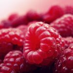 raspberry-fruits-fresh-red-52536
